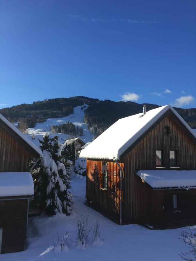 Alpenferienhaus Kreischberg Sankt Lorenzen ob Murau Luaran gambar