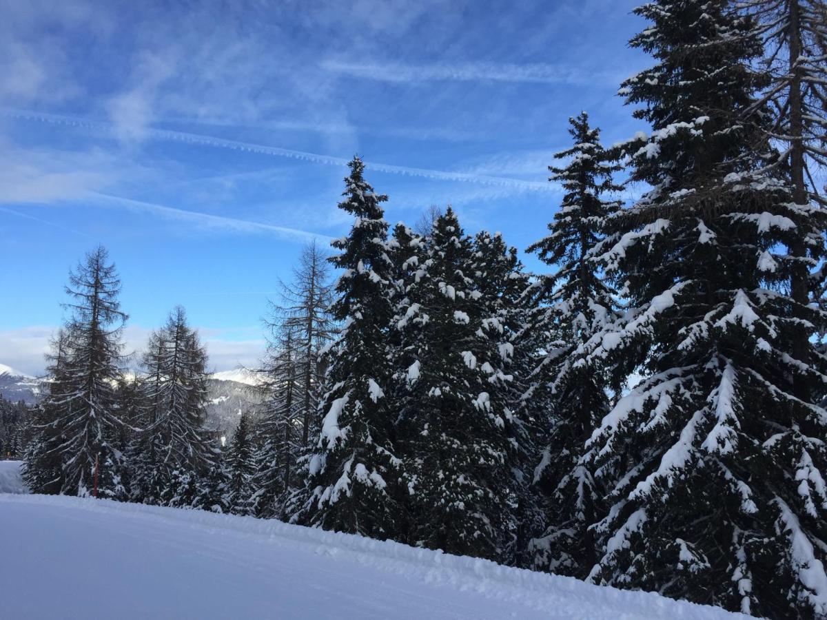 Alpenferienhaus Kreischberg Sankt Lorenzen ob Murau Luaran gambar