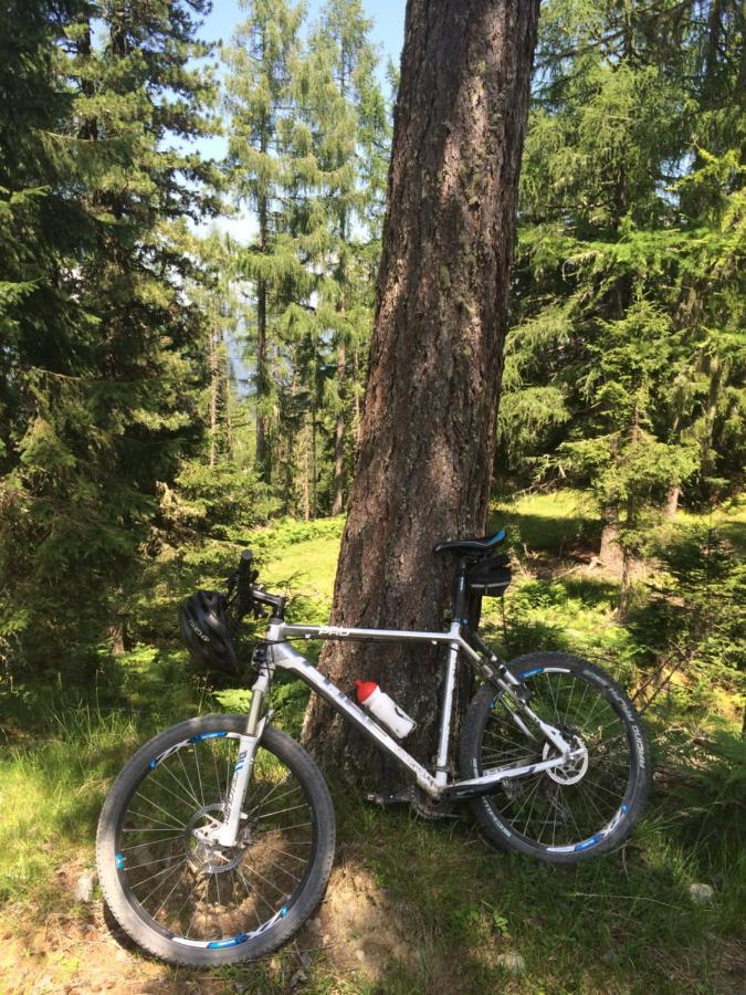 Alpenferienhaus Kreischberg Sankt Lorenzen ob Murau Luaran gambar