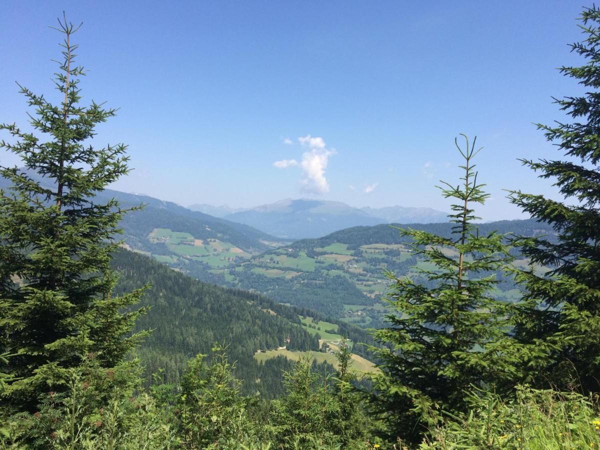 Alpenferienhaus Kreischberg Sankt Lorenzen ob Murau Luaran gambar